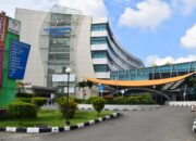 Ingin Operasi Peradangan Amandel? SPH Hadir dengan Prosedur Aman dan Cepat