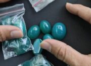 Aksi Pencurian Batu Akik Seharga Rp11 Miliar Terungkap, Ternyata Ada yang Disimpan dalam Tanah