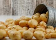 Solok Selatan Bakal Jadi Sentral Produksi Kentang