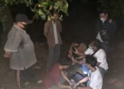 Tiga Petani di Pasbar Ditangkap karena Diduga jadi Pengedar Ganja