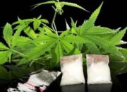 Jadi Bandar Sabu dan Ganja, Oknum Satpam di Payakumbuh Ditangkap