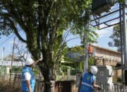 GM PLN Sumbar Tinjau Aset untuk Tingkatkan Keandalan Jaringan