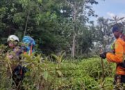 Seminggu Pencarian, Basarnas Hentikan Pencarian Orang Hilang di Limapuluh Kota