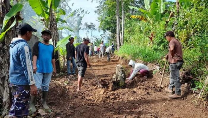 Pemkab Pasaman Barat Genjot Pembangunan Jalan Usaha Tani, Dana Desa Diarahkan Dukung Petani