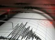 Pembangkit Gempa Pagai Mentawai di Zona Megathrust, Mampu Bangkitkan Gempa Magnitudo 8,9