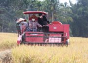 Wagub: Tanah Datar Adalah Tulang Punggung Ketahanan Pangan di Sumbar