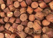 UNAND Targetkan jadi Pusat Hilirisasi dan Inovasi Gambir Nasional