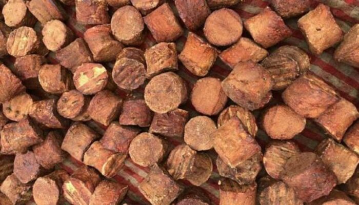 UNAND Targetkan jadi Pusat Hilirisasi dan Inovasi Gambir Nasional