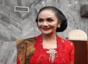 Ditanya soal Penghasilan jadi Anggota DPR, KD: Tanggal 1, Rp 16 Juta, Tanggal 5, Rp59 Juta