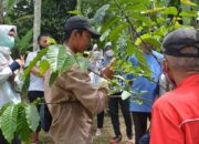 Meraih Berkah dari Potensi Kopi Bancah