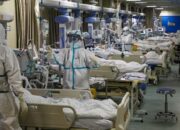 Peneliti Ungkap Kemampuan Virus Corona Varian Baru A.30 Lawan Vaksin Pfizer, AstraZeneca