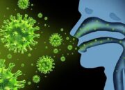 Alat Tes PCR Produksi Bio Farma Efektif Deteksi 12 Mutasi Virus COVID-19