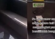 Viral Mobil Angkot Bersih dan Pakai Keramik, Warganet kasih Pujian