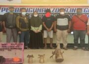 Gagalkan Penjualan Satwa Dilindungi di Padangpariaman, BKSDA Sumbar Tangkap Pelaku Warga Padang