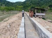 Untuk Pengembangan Irigasi, Pemkab Pessel Alokasikan Rp15 Miliar Tahun 2022