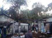 Api Muncul dari Kandang Bunga, Dua Bangunan di Bukittinggi Hangus Terbakar