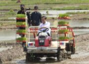 Stok Mencukupi, Presiden: Tahun 2021 Indonesia Belum Pernah Impor Beras