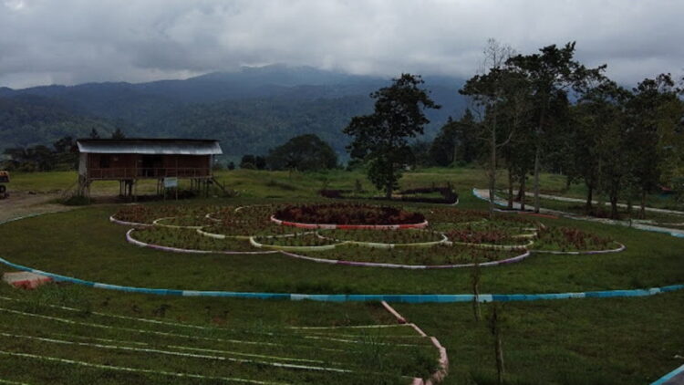 Taman Hutan Kota Wisata Arosuka.