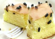 Amankah Mengonsumsi Makanan yang Dihinggapi Lalat? Ini yang Harus Kamu Lakukan