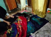 Diduga Stress, Seorang Pria Cangkul Ibu Kandungnya hingga Tewas di Alahan Panjang