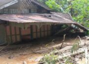 Satu Rumah Warga di Pasaman Barat Dihantam Longsor, Penghuni Selamat