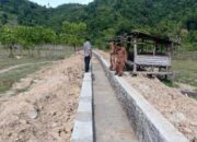 Pesisir Selatan Siapkan Rp15 Miliar untuk Pengembangan Irigasi pada Tahun 2022