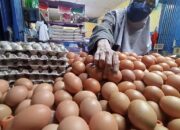 Mendag Pastikan Harga Daging Ayam dan Telur Tetap Terkendali jelang Ramadan