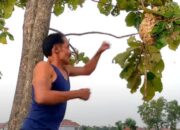 Salam dari Majalengka, Pria Ini bukannya Memukul Batang Pisang tapi Sarang Lebah