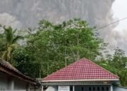 BNPB: Data Sementara Korban Meninggal Erupsi Gunung Semeru 13 Orang