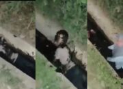Ketahuan Berzina, Pasangan di Aceh Ini Dihukum Masuk Parit