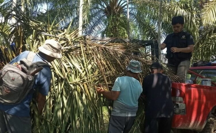 Tim Resor KSDA Agam dan warga sedang memindahkan kandang jebak, Sabtu (25/12).