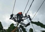 Akibat Gempa di NTT, 7 Orang Terluka, 770 Orang Mengungsi dan 346 Rumah Rusak