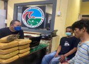 Gagalkan Peredaran 10 Kg Ganja Kering di Padang, Polisi Tangkap Seorang Pengedar