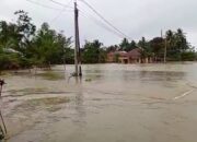 Pesisir Selatan Dikepung Banjir dan Longsor, Ada yang Mencapai Satu Meter