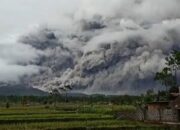 Dua Kecamatan di Jawa Timur Gelap Gulita Karena Erupsi Gunung Semeru