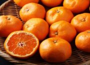 Lindungi Diri dari Virus Omicron, 7 Makanan Ini Bisa Meningkatkan Daya Tahan Tubuh