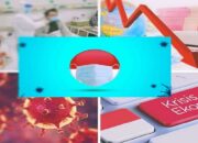 Ketua IDI: Jika Tak Ada Kasus COVID-19 Desember-Januari, Indonesia Bisa Masuk Fase Endemi