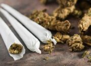 Pemuda 22 Tahun di Solok Diamankan Bersama Paket Ganja