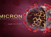 Kasus Omicron 572 Orang, Kemenkes: Rata-rata Gejala Ringan, Belum Butuh Perawatan serius