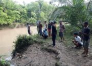 Siswa SD di Agam Diserang Buaya saat Mandi di Batang Masang