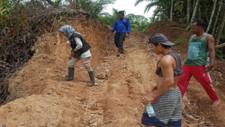 Petugas Resor KSDA Agam bersama warga sedang mencari jejak harimau untuk memastikan laporan warga, Senin (31/1). (Antara/Yusrizal)