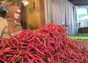 Harga Sembako di Agam Terpantau Normal 12 Hari Jelang Lebaran