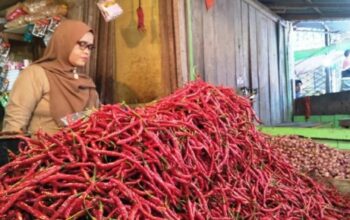 Salah seorang pedagang kebutuhan pokok di Pasar Rakyat Pariaman, Sumbar sedang mengambilkan pesanan pembeli di Pariaman. (Antara/Aadiaat M. S.)