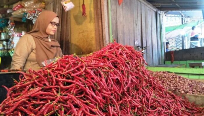 Dinas Perdagangan Agam Pastikan Pasokan dan Harga Bahan Pokok Aman