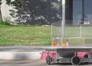 Peneliti Israel Berhasil Ajarkan Ikan Mas “Menyetir Mobil”