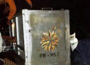 Kena Jerat Babi Hutan di Solok Selatan, Beruang Madu Berhasil Dievakuasi BKSDA Sumbar