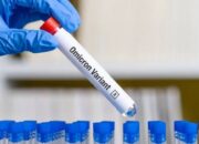 Hasil WGS Kemenkes, Hampir Sebagian Besar Wilayah Indonesia Kena Omicron