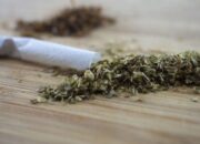 Tiga Orang di Bukittinggi Ditangkap Gegara Kepemilikan Narkoba