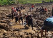 Polda Sumbar Libatkan K-9 untuk Cari Korban Longsor di Pasaman