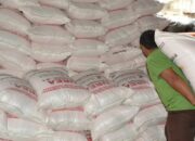 Penyaluran Pupuk Bersubsidi di Pasaman Barat Capai 6.123 Ton